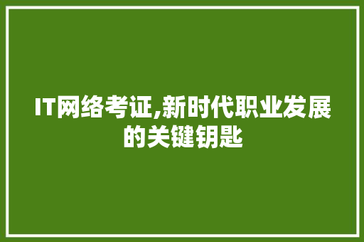 IT网络考证,新时代职业发展的关键钥匙 百度SEO