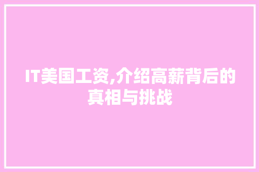 IT美国工资,介绍高薪背后的真相与挑战