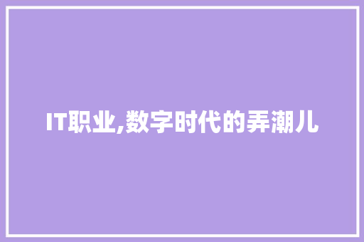 IT职业,数字时代的弄潮儿 百度SEO
