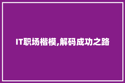 IT职场楷模,解码成功之路