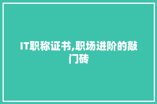 IT职称证书,职场进阶的敲门砖