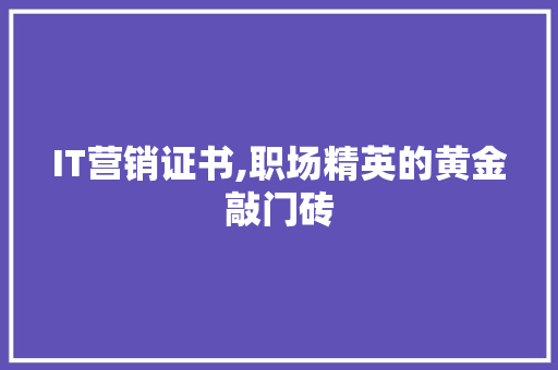 IT营销证书,职场精英的黄金敲门砖 神马SEO