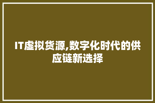 IT虚拟货源,数字化时代的供应链新选择 神马SEO