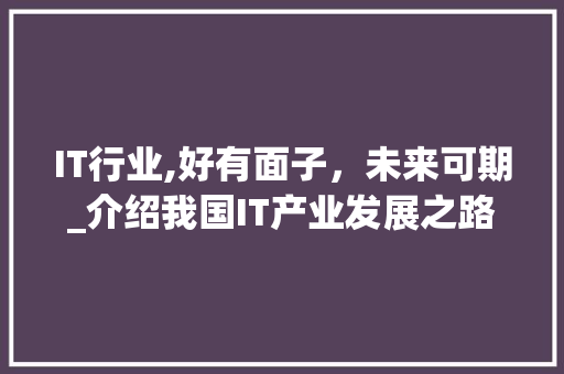 IT行业,好有面子，未来可期_介绍我国IT产业发展之路 百度SEO