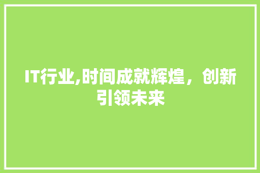 IT行业,时间成就辉煌，创新引领未来