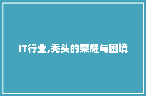 IT行业,秃头的荣耀与困境