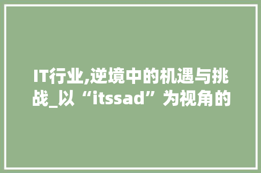 IT行业,逆境中的机遇与挑战_以“itssad”为视角的讨论