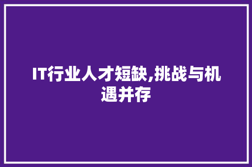 IT行业人才短缺,挑战与机遇并存