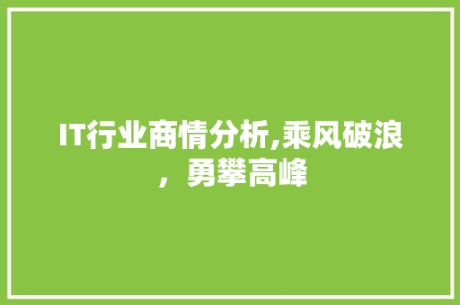 IT行业商情分析,乘风破浪，勇攀高峰