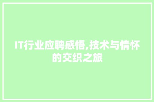 IT行业应聘感悟,技术与情怀的交织之旅