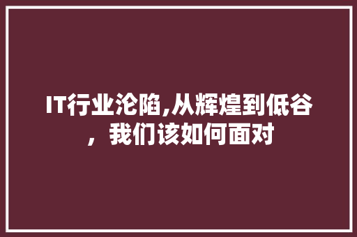 IT行业沦陷,从辉煌到低谷，我们该如何面对