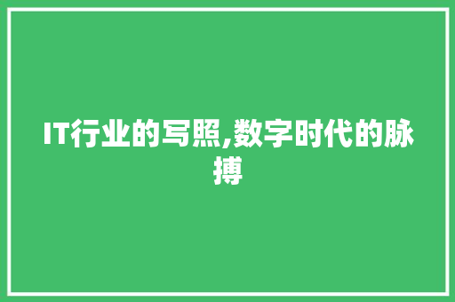 IT行业的写照,数字时代的脉搏