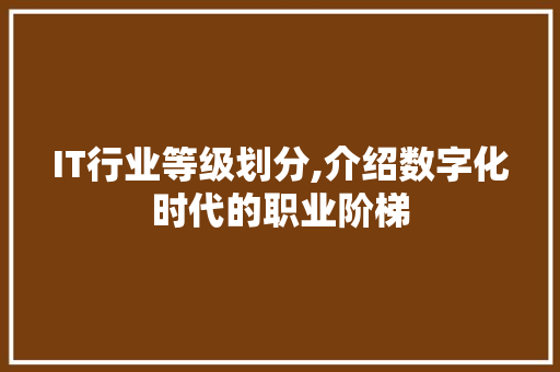 IT行业等级划分,介绍数字化时代的职业阶梯
