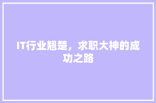 IT行业翘楚，求职大神的成功之路