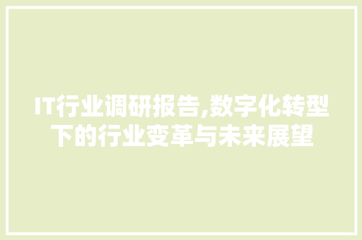 IT行业调研报告,数字化转型下的行业变革与未来展望