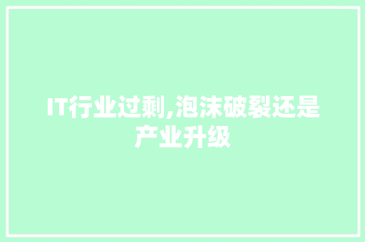 IT行业过剩,泡沫破裂还是产业升级