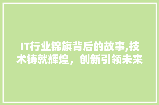 IT行业锦旗背后的故事,技术铸就辉煌，创新引领未来