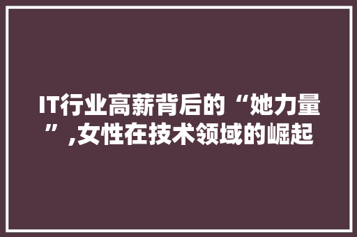 IT行业高薪背后的“她力量”,女性在技术领域的崛起与突破