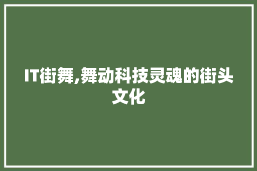 IT街舞,舞动科技灵魂的街头文化 必应SEO