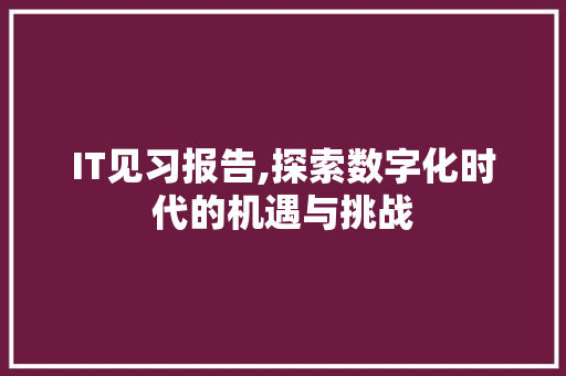 IT见习报告,探索数字化时代的机遇与挑战 必应SEO