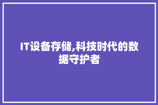 IT设备存储,科技时代的数据守护者