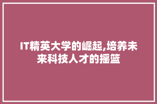 IT精英大学的崛起,培养未来科技人才的摇篮