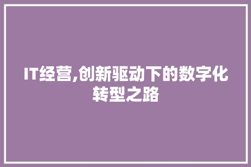 IT经营,创新驱动下的数字化转型之路