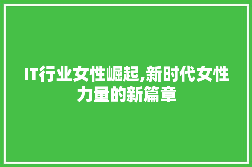IT行业女性崛起,新时代女性力量的新篇章