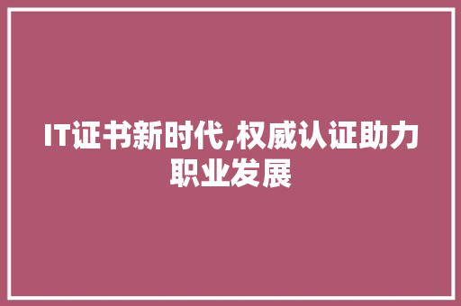 IT证书新时代,权威认证助力职业发展 GoogleSEO