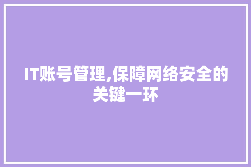 IT账号管理,保障网络安全的关键一环