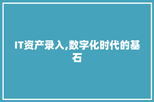 IT资产录入,数字化时代的基石 必应SEO