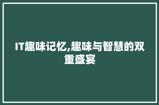 IT趣味记忆,趣味与智慧的双重盛宴