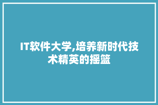 IT软件大学,培养新时代技术精英的摇篮