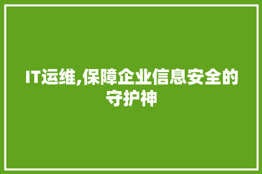 IT运维,保障企业信息安全的守护神