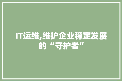 IT运维,维护企业稳定发展的“守护者”