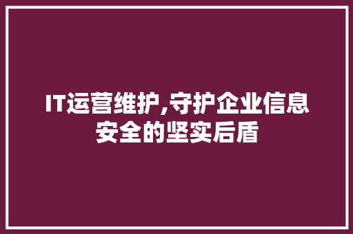 IT运营维护,守护企业信息安全的坚实后盾 神马SEO