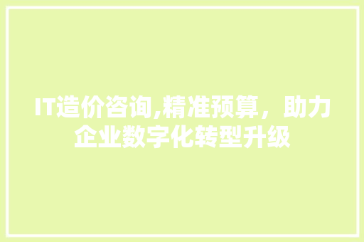 IT造价咨询,精准预算，助力企业数字化转型升级