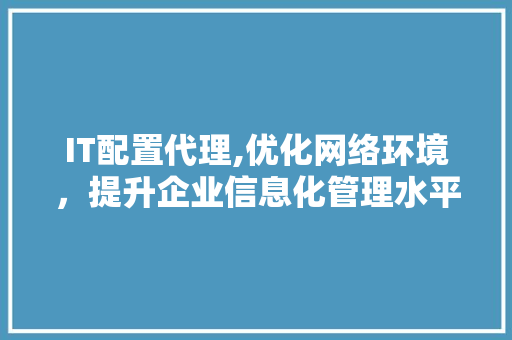 IT配置代理,优化网络环境，提升企业信息化管理水平