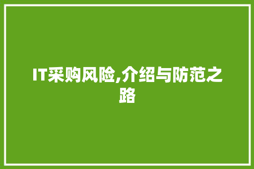 IT采购风险,介绍与防范之路