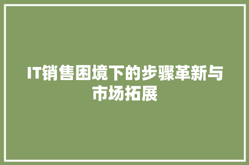IT销售困境下的步骤革新与市场拓展