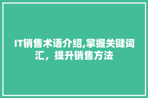 IT销售术语介绍,掌握关键词汇，提升销售方法