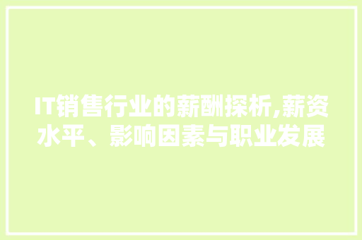 IT销售行业的薪酬探析,薪资水平、影响因素与职业发展