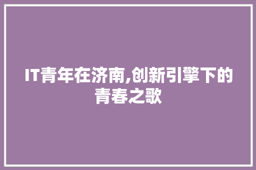 IT青年在济南,创新引擎下的青春之歌