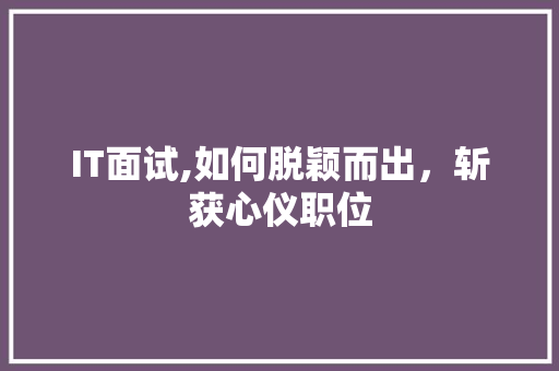 IT面试,如何脱颖而出，斩获心仪职位