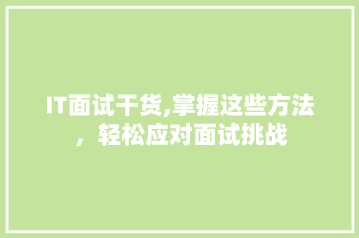 IT面试干货,掌握这些方法，轻松应对面试挑战 必应SEO