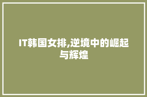 IT韩国女排,逆境中的崛起与辉煌 百度SEO