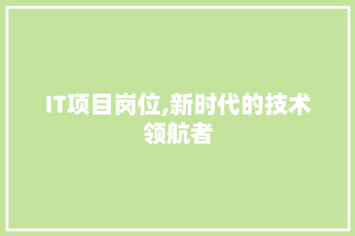 IT项目岗位,新时代的技术领航者