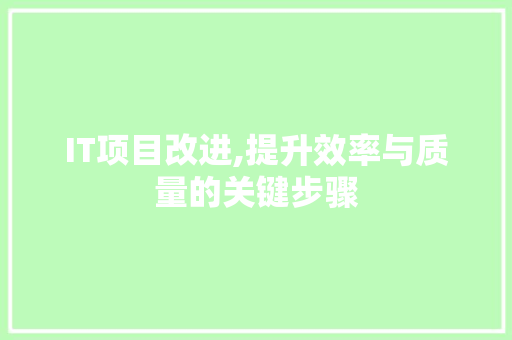 IT项目改进,提升效率与质量的关键步骤