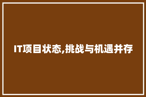 IT项目状态,挑战与机遇并存