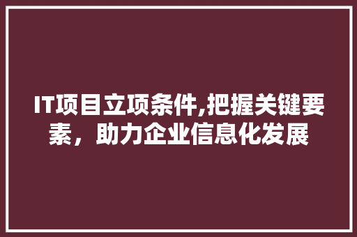 IT项目立项条件,把握关键要素，助力企业信息化发展
